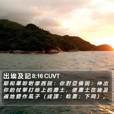 出 埃 及 記 8:16 CUVT Bible Verse Image