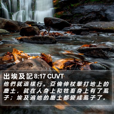 出 埃 及 記 8:17 CUVT Bible Verse Image