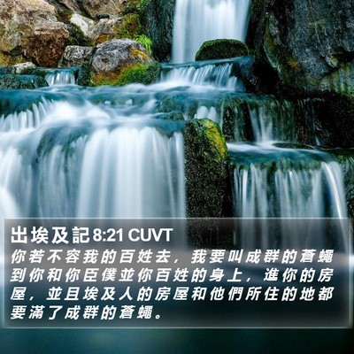 出 埃 及 記 8:21 CUVT Bible Verse Image