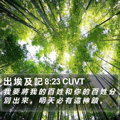 出 埃 及 記 8:23 CUVT Bible Verse Image