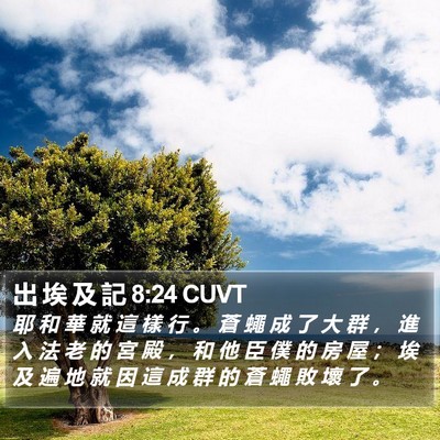 出 埃 及 記 8:24 CUVT Bible Verse Image