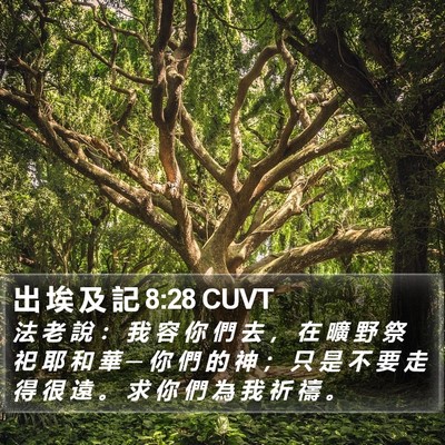 出 埃 及 記 8:28 CUVT Bible Verse Image