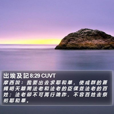 出 埃 及 記 8:29 CUVT Bible Verse Image