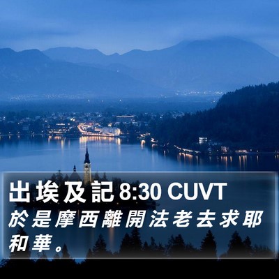 出 埃 及 記 8:30 CUVT Bible Verse Image