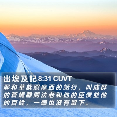 出 埃 及 記 8:31 CUVT Bible Verse Image