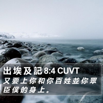 出 埃 及 記 8:4 CUVT Bible Verse Image