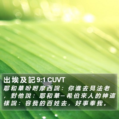 出 埃 及 記 9:1 CUVT Bible Verse Image