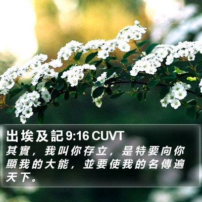 出 埃 及 記 9:16 CUVT Bible Verse Image