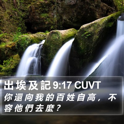 出 埃 及 記 9:17 CUVT Bible Verse Image