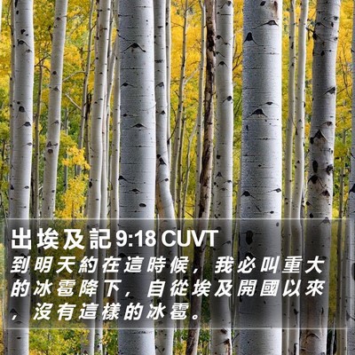 出 埃 及 記 9:18 CUVT Bible Verse Image