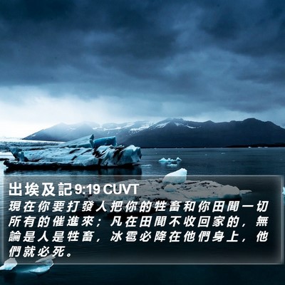 出 埃 及 記 9:19 CUVT Bible Verse Image