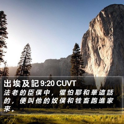 出 埃 及 記 9:20 CUVT Bible Verse Image