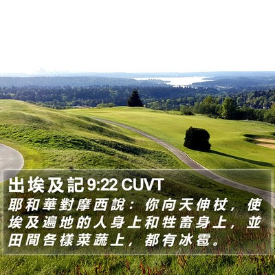 出 埃 及 記 9:22 CUVT Bible Verse Image