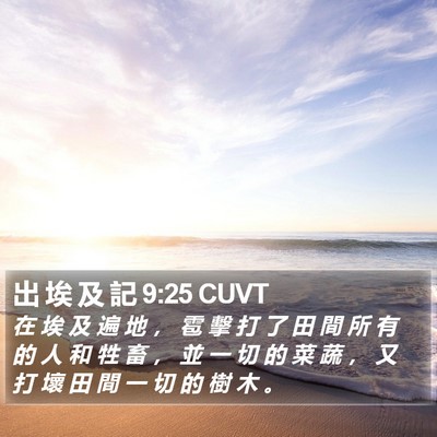 出 埃 及 記 9:25 CUVT Bible Verse Image