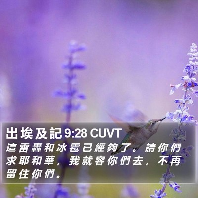 出 埃 及 記 9:28 CUVT Bible Verse Image