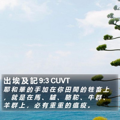 出 埃 及 記 9:3 CUVT Bible Verse Image