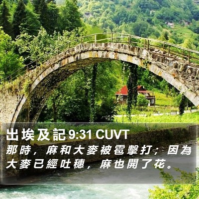 出 埃 及 記 9:31 CUVT Bible Verse Image