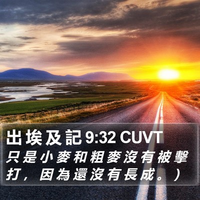 出 埃 及 記 9:32 CUVT Bible Verse Image