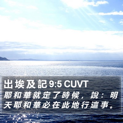 出 埃 及 記 9:5 CUVT Bible Verse Image