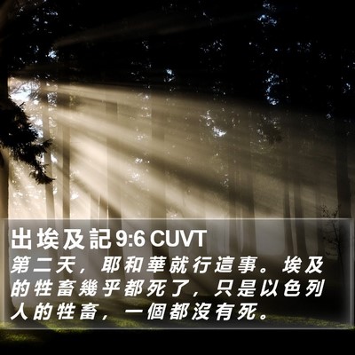 出 埃 及 記 9:6 CUVT Bible Verse Image
