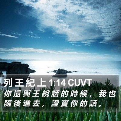 列 王 紀 上 1:14 CUVT Bible Verse Image