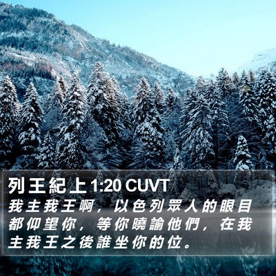 列 王 紀 上 1:20 CUVT Bible Verse Image