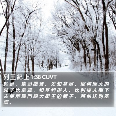 列 王 紀 上 1:38 CUVT Bible Verse Image