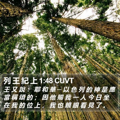 列 王 紀 上 1:48 CUVT Bible Verse Image