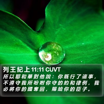 列 王 紀 上 11:11 CUVT Bible Verse Image