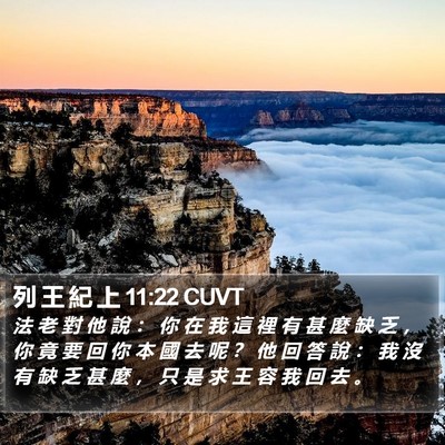 列 王 紀 上 11:22 CUVT Bible Verse Image