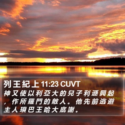 列 王 紀 上 11:23 CUVT Bible Verse Image