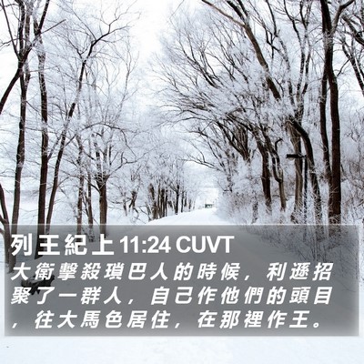 列 王 紀 上 11:24 CUVT Bible Verse Image