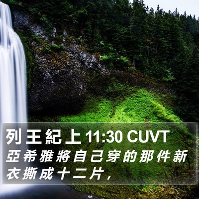 列 王 紀 上 11:30 CUVT Bible Verse Image