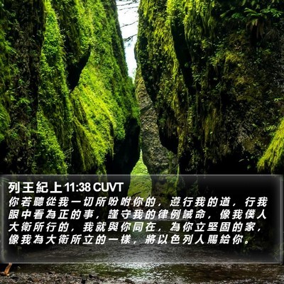 列 王 紀 上 11:38 CUVT Bible Verse Image