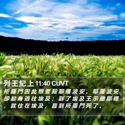 列 王 紀 上 11:40 CUVT Bible Verse Image