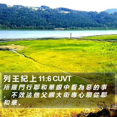 列 王 紀 上 11:6 CUVT Bible Verse Image