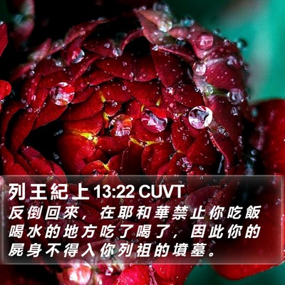 列 王 紀 上 13:22 CUVT Bible Verse Image