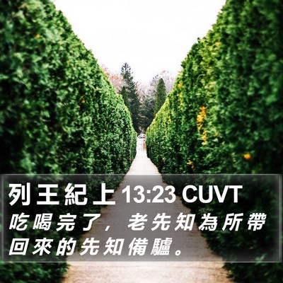 列 王 紀 上 13:23 CUVT Bible Verse Image