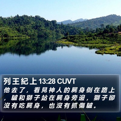 列 王 紀 上 13:28 CUVT Bible Verse Image