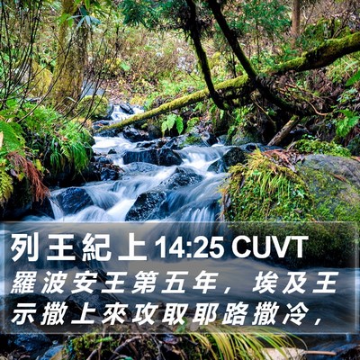 列 王 紀 上 14:25 CUVT Bible Verse Image