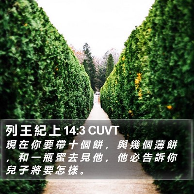 列 王 紀 上 14:3 CUVT Bible Verse Image