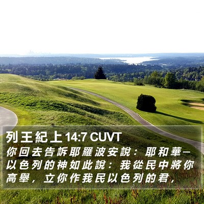 列 王 紀 上 14:7 CUVT Bible Verse Image