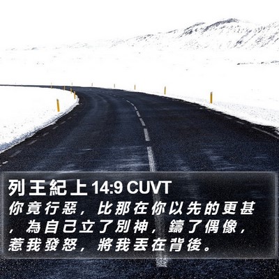列 王 紀 上 14:9 CUVT Bible Verse Image