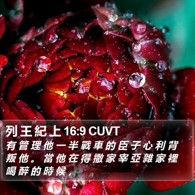 列 王 紀 上 16:9 CUVT Bible Verse Image
