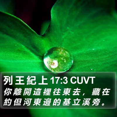 列 王 紀 上 17:3 CUVT Bible Verse Image