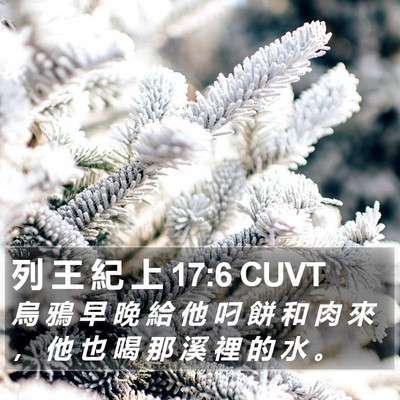列 王 紀 上 17:6 CUVT Bible Verse Image