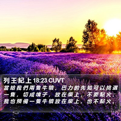 列 王 紀 上 18:23 CUVT Bible Verse Image