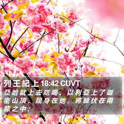 列 王 紀 上 18:42 CUVT Bible Verse Image