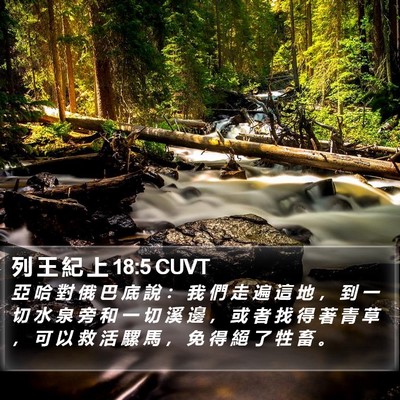 列 王 紀 上 18:5 CUVT Bible Verse Image