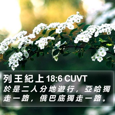 列 王 紀 上 18:6 CUVT Bible Verse Image